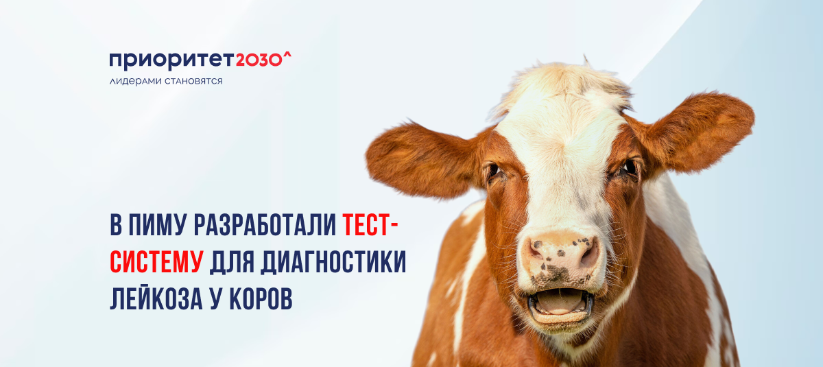 Приоритет 2030 | Государственная программа поддержки университетов ...