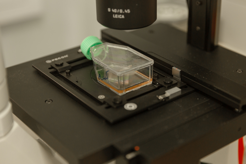 КФУ Вернадского.jpg