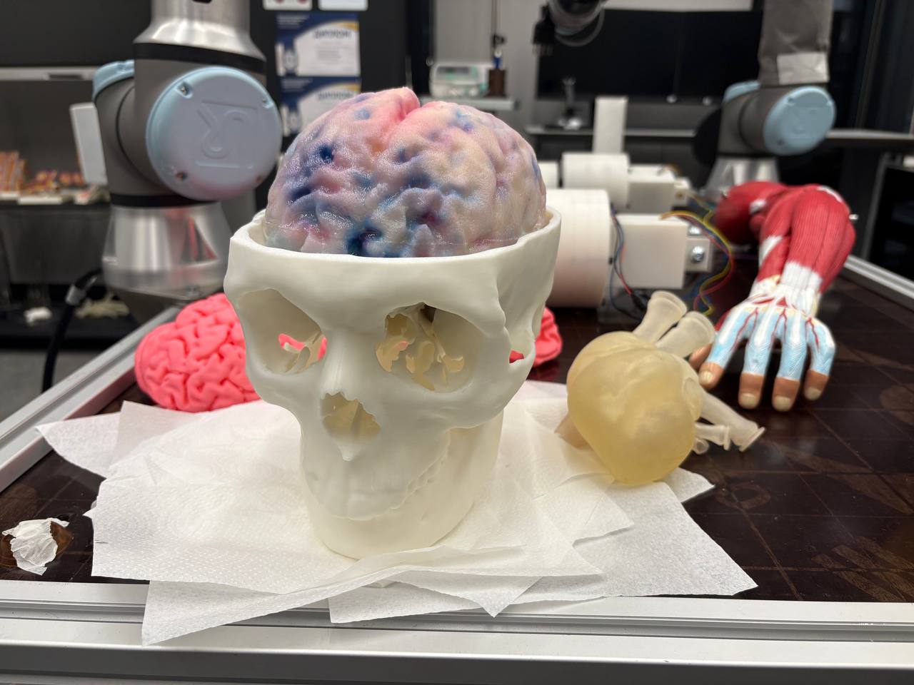 Bauman SmartBiomed(1)