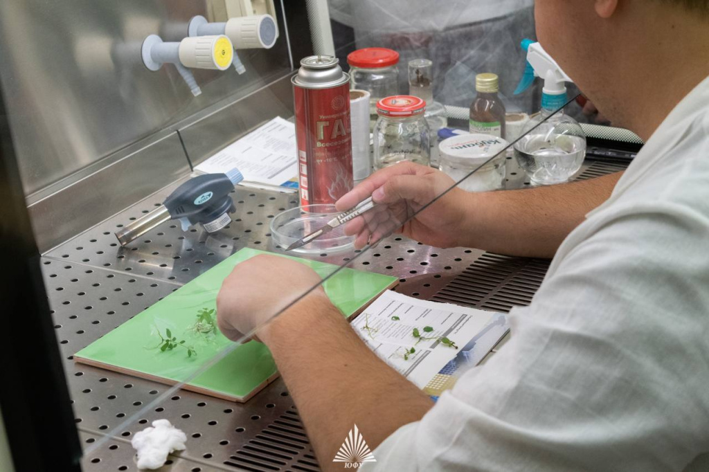 ЮФУ-3.jpg ЮФУ-3.jpg