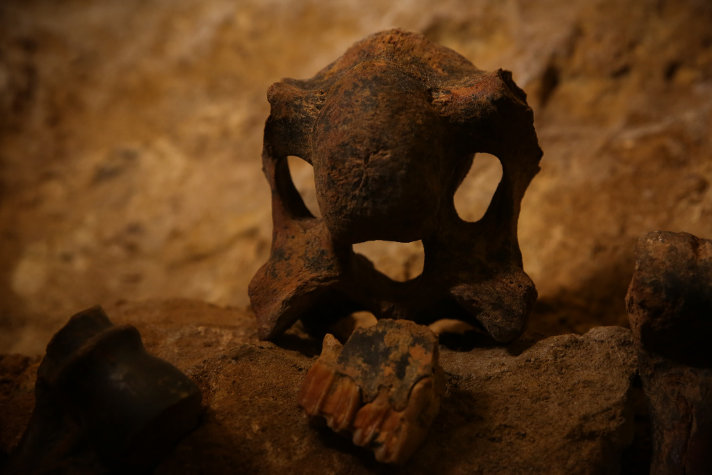 846A9934.jpg 846A9934.jpg