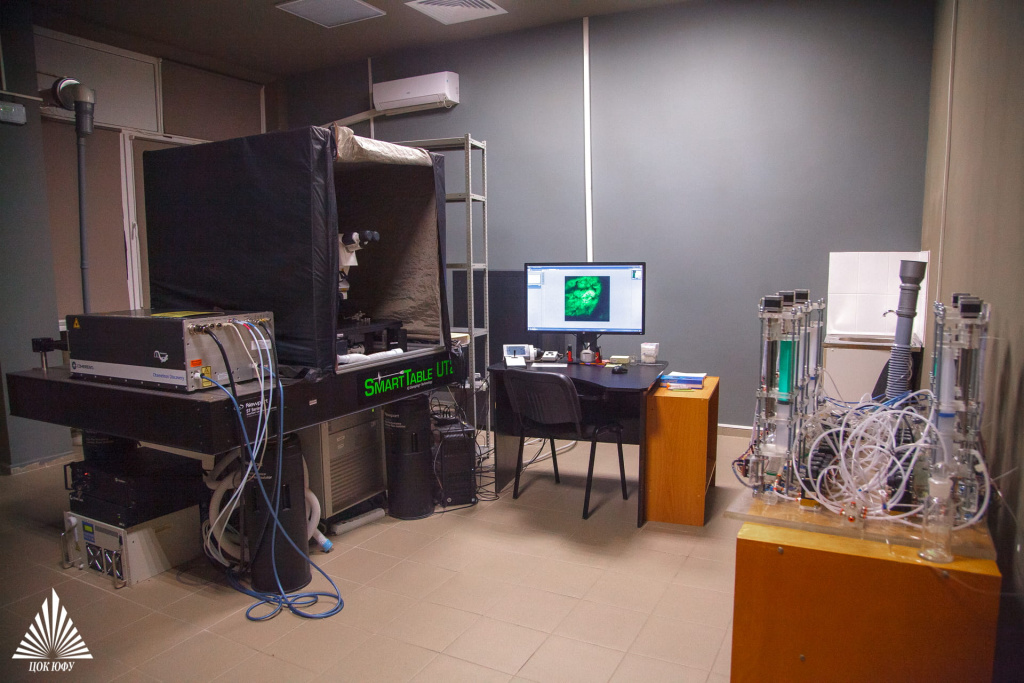 Технологии многофункциональной микроэлектроники и интеллектуальной сенсорики для биогибридных и киберфизических систем(2)