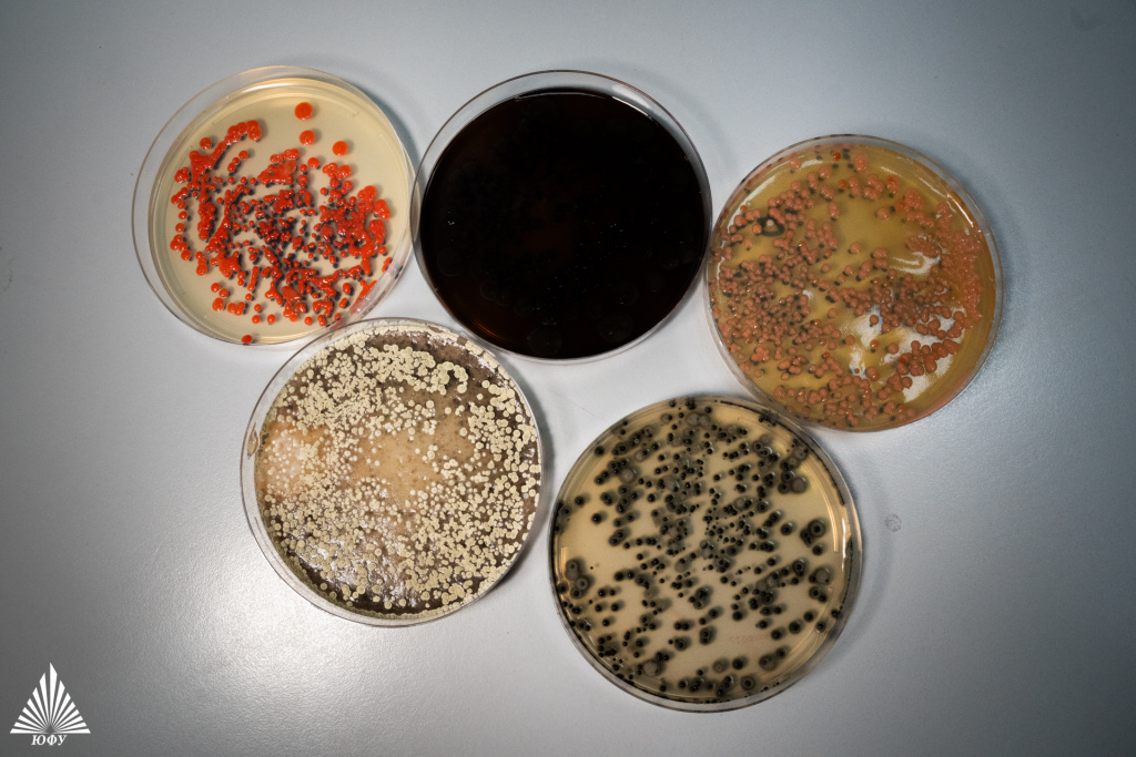 Технологии биоинженерии почв(2)