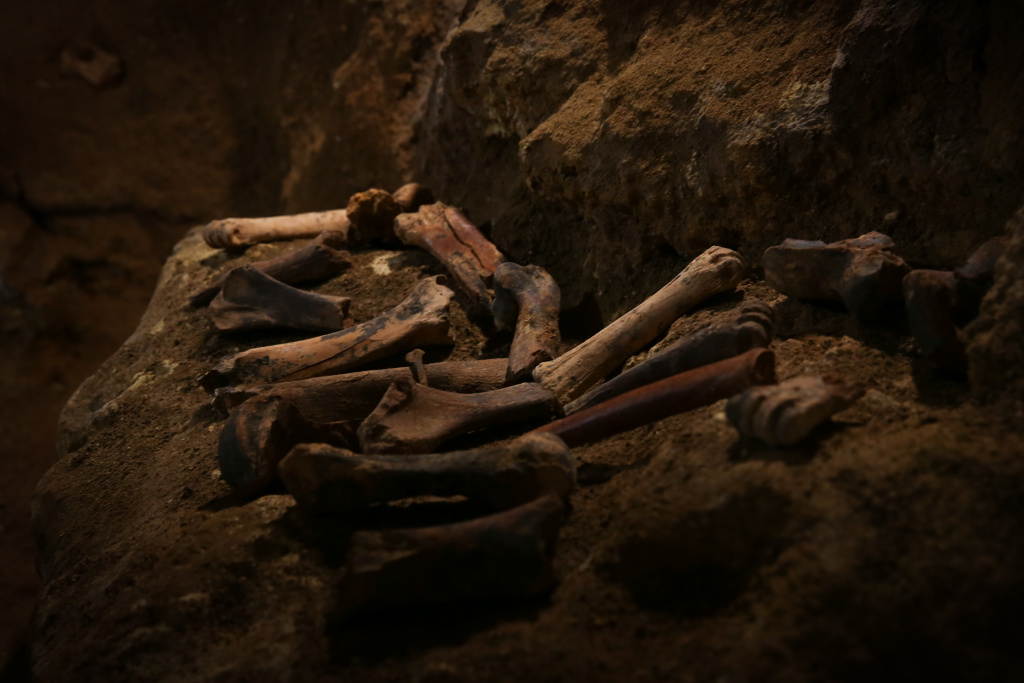 846A9938.jpg 846A9938.jpg