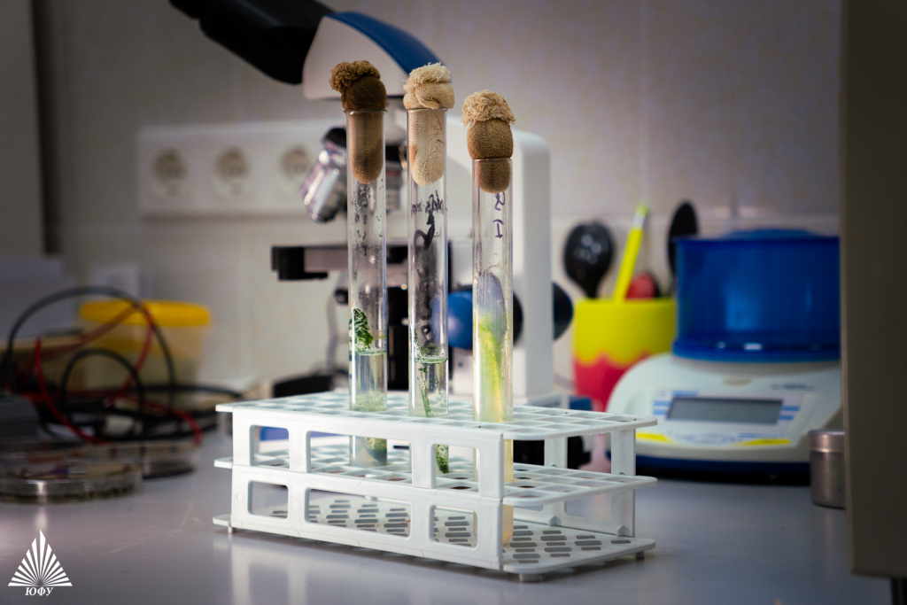 Технологии биоинженерии почв(1)