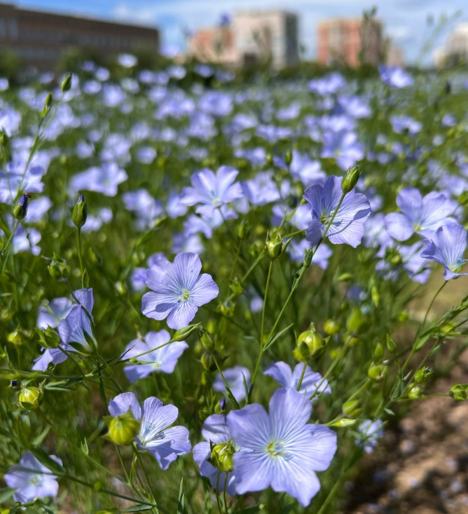 3-WhatsApp Image 2025-10-21 at 19.35.44.jpeg