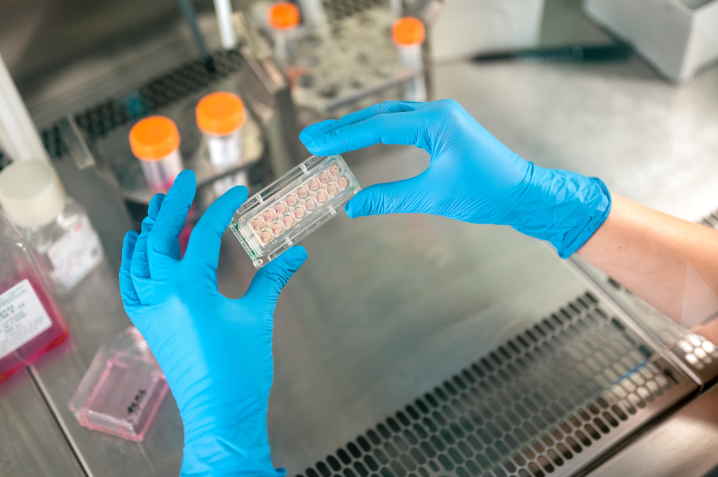 DSC_020318.jpg DSC_020318.jpg