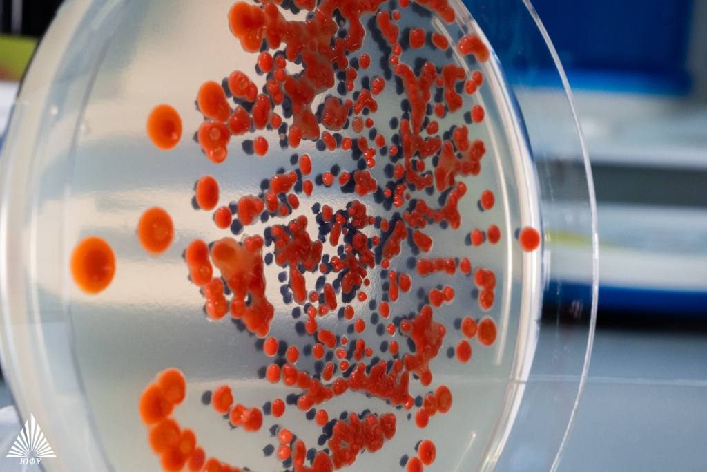 Технологии биоинженерии почв(3)