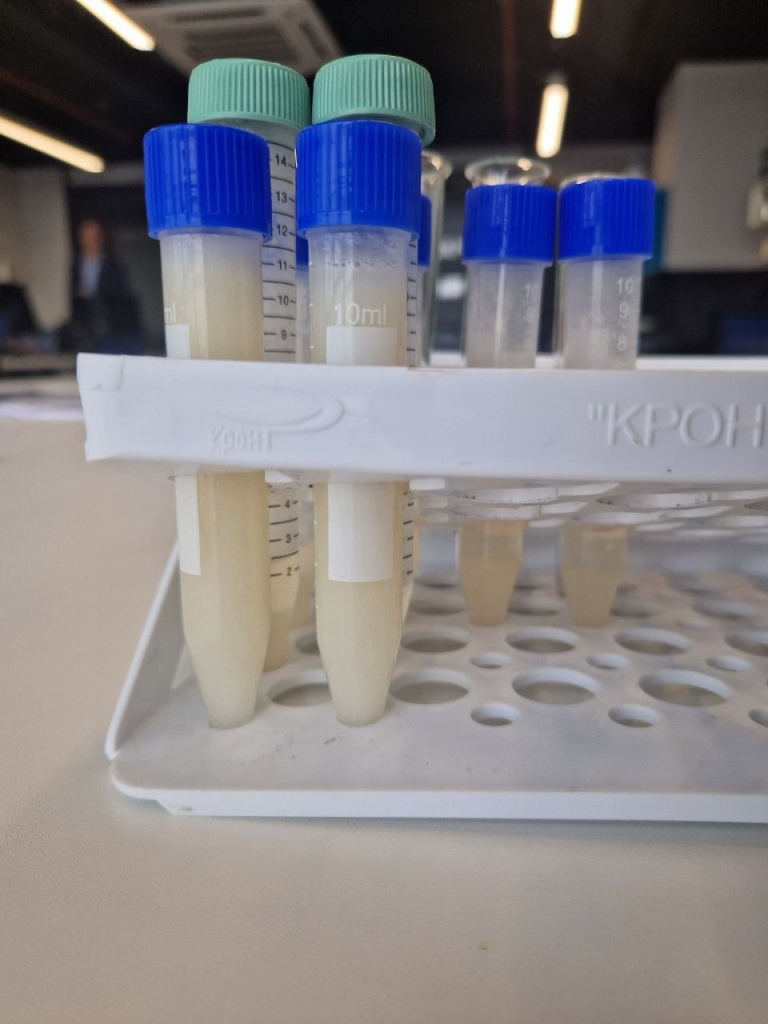 photo_2024-07-17_14-31-36 (2).jpg