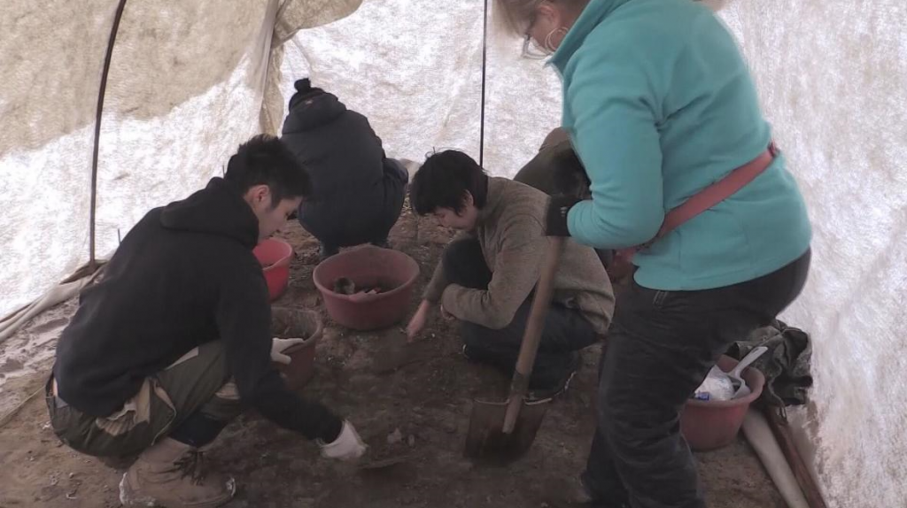 Без имени.png Без имени.png